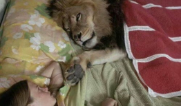 人兽视频,揭秘神秘生物与人类共存的奇幻世界