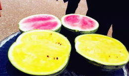 之前的吃瓜爆料叫什么,一场网络舆论的风暴